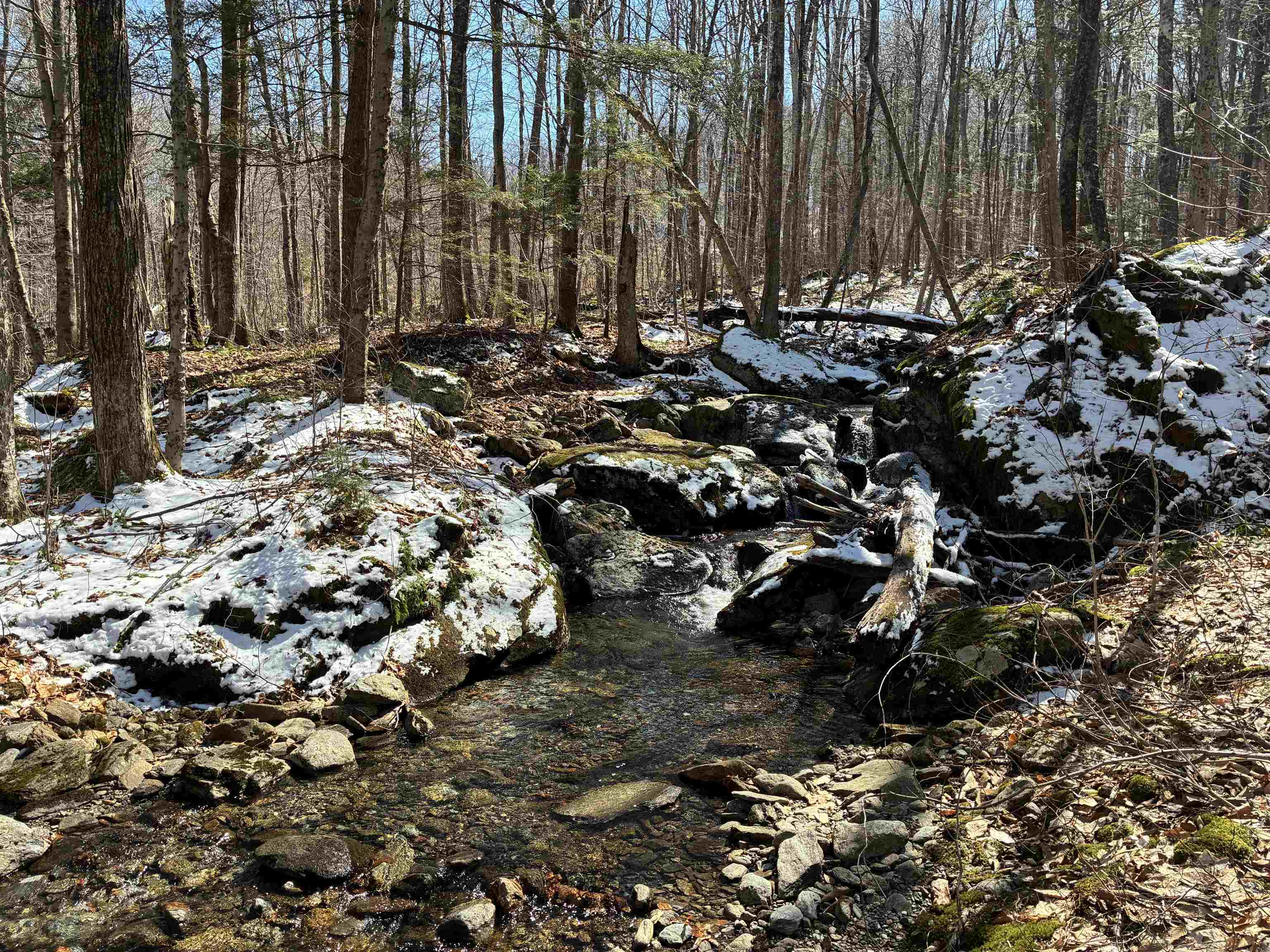Lot 1 Marshall Road Waterbury, VT 05676 - Photo 10 of 30