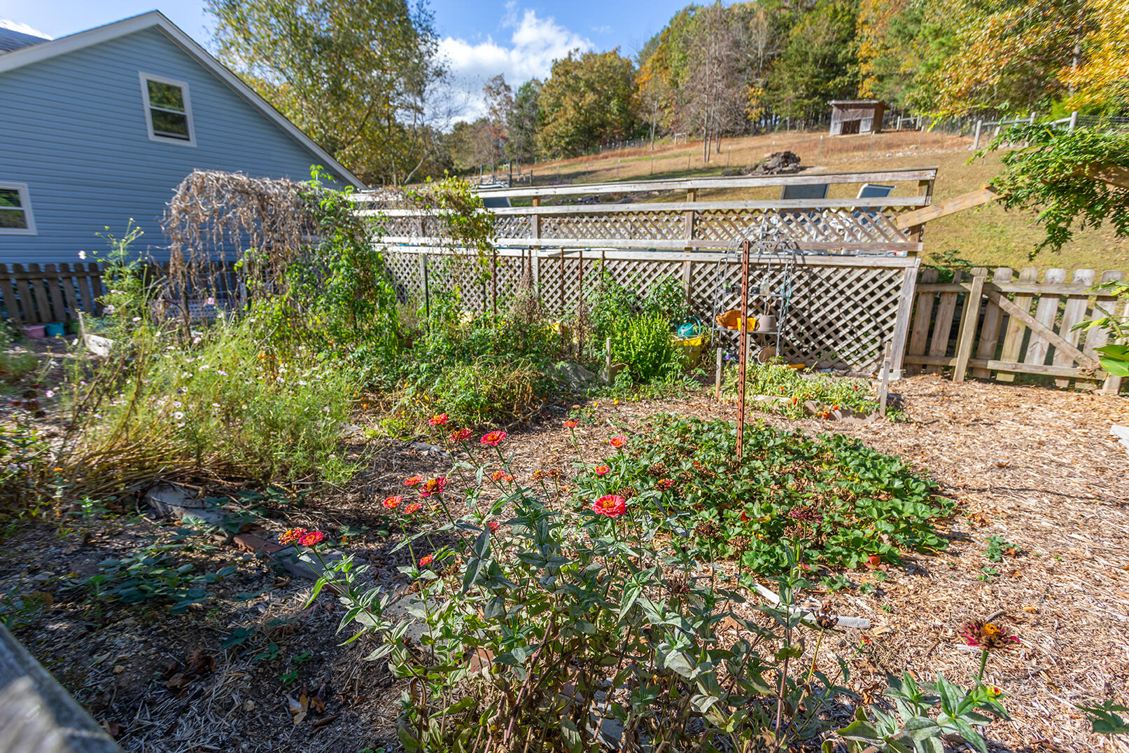 6617 Gamble Road Birchwood, TN 37308 - Photo 42 of 72 Garden