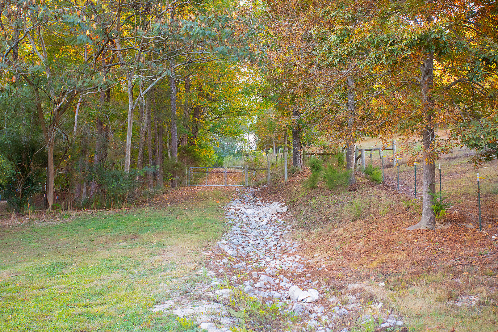 6617 Gamble Road Birchwood, TN 37308 - Photo 43 of 72 4M4A8895 copy