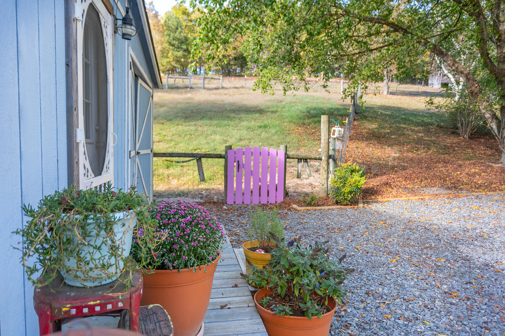 6617 Gamble Road Birchwood, TN 37308 - Photo 64 of 72 4M4A8700 copy