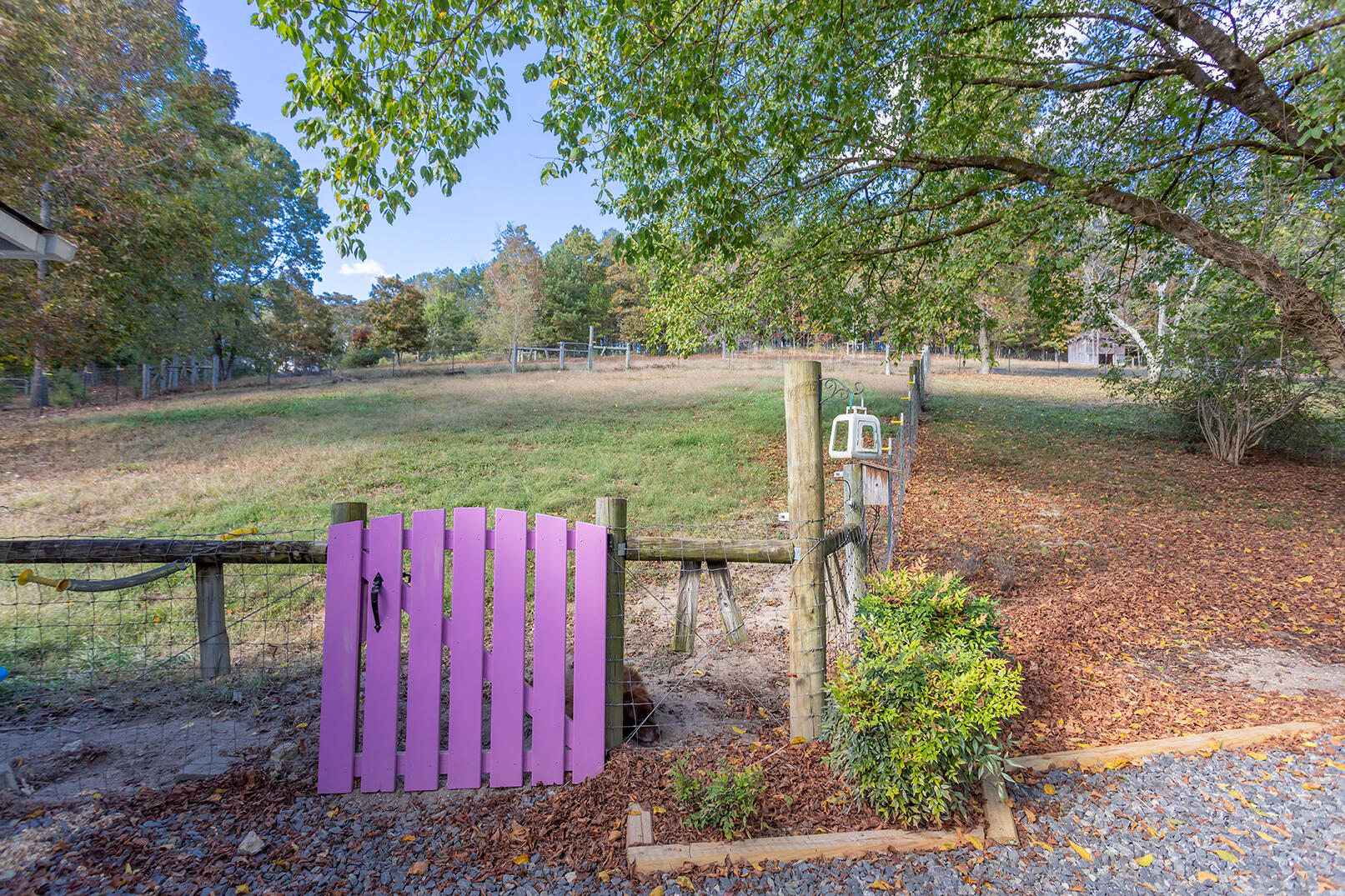 6617 Gamble Road Birchwood, TN 37308 - Photo 65 of 72 4M4A8703 copy