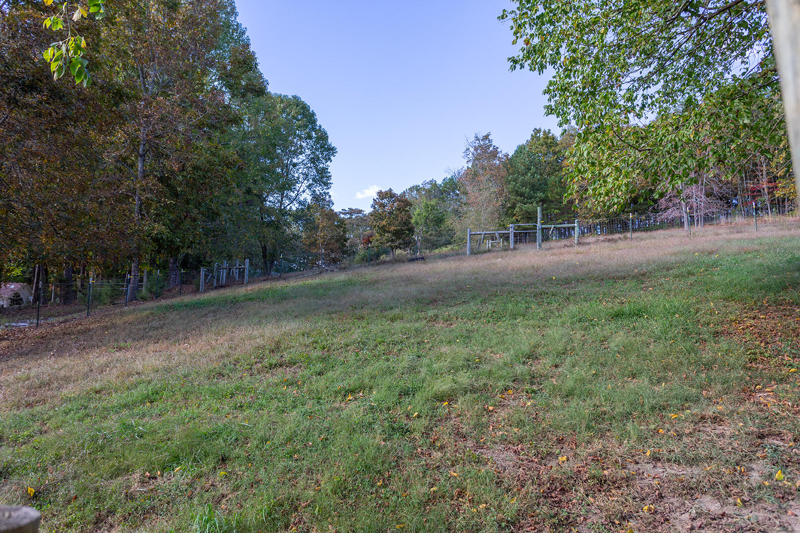 6617 Gamble Road Birchwood, TN 37308 - Photo 66 of 72 4M4A8702 copy