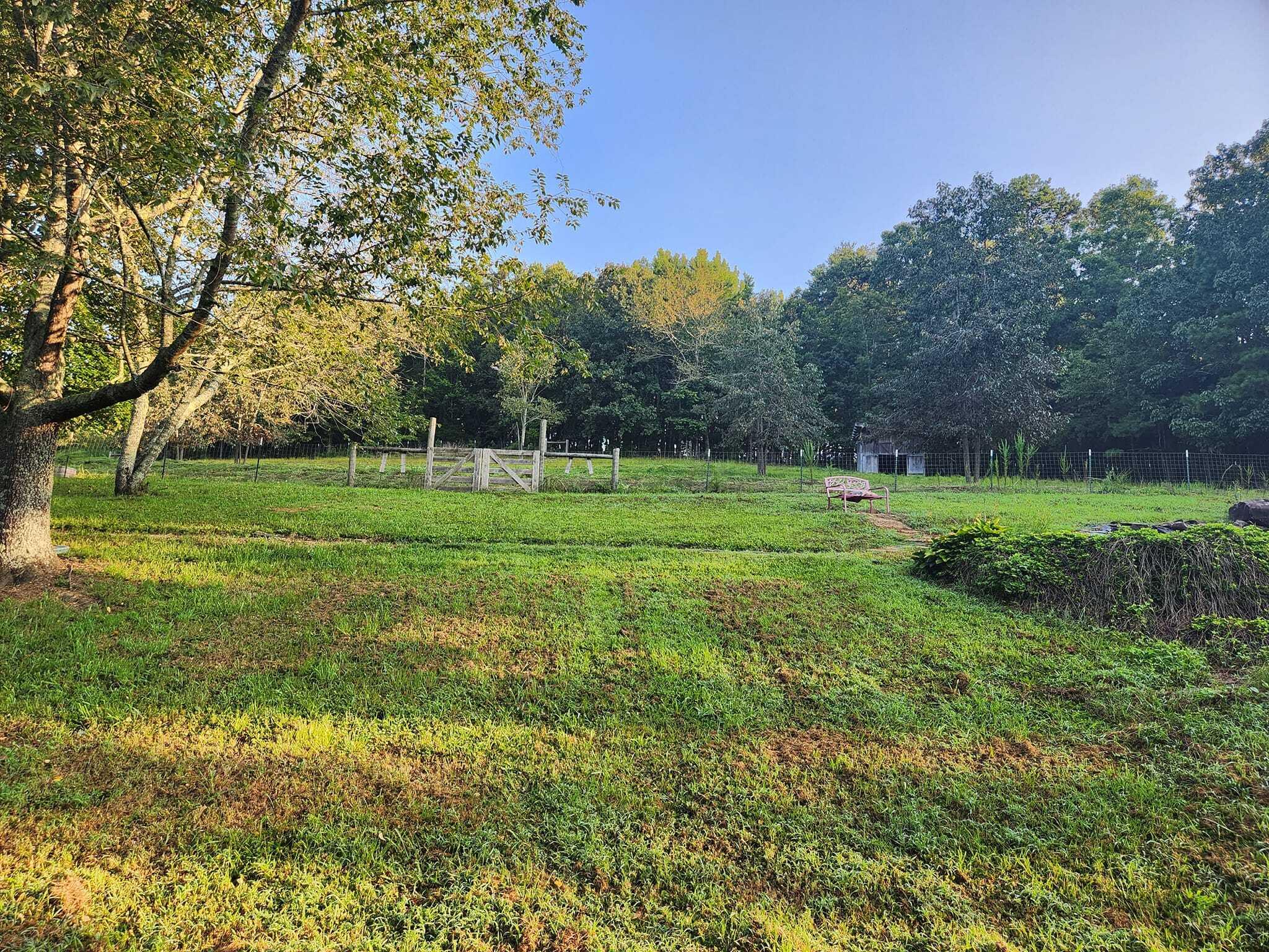 6617 Gamble Road Birchwood, TN 37308 - Photo 71 of 72 392940010_4448015622089744_9493443514115