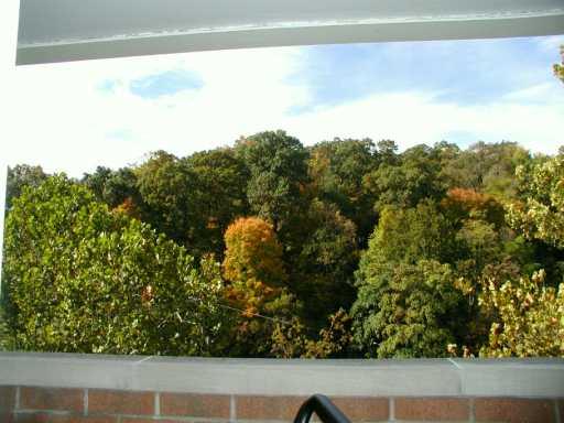 302 Fox Chapel Road, Unit 605 Pittsburgh, PA 15238 - Photo 5 of 8 Other.