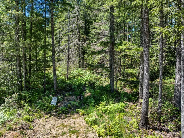 a view of outdoor space and trees