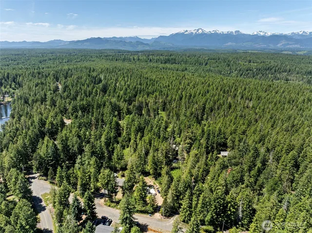 a view of a lush green hillside and a building
