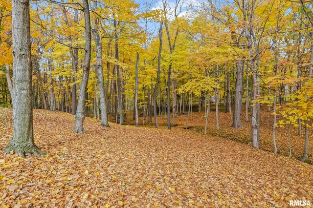 $475,000 | 5012 Kinsinger Lane, Pleasant Plains, IL 62677