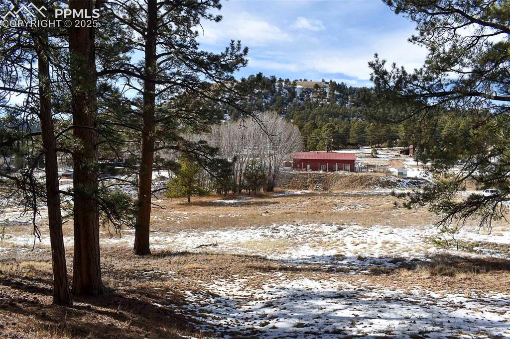 6th Street Guffey, CO 80820 - Photo 14 of 28