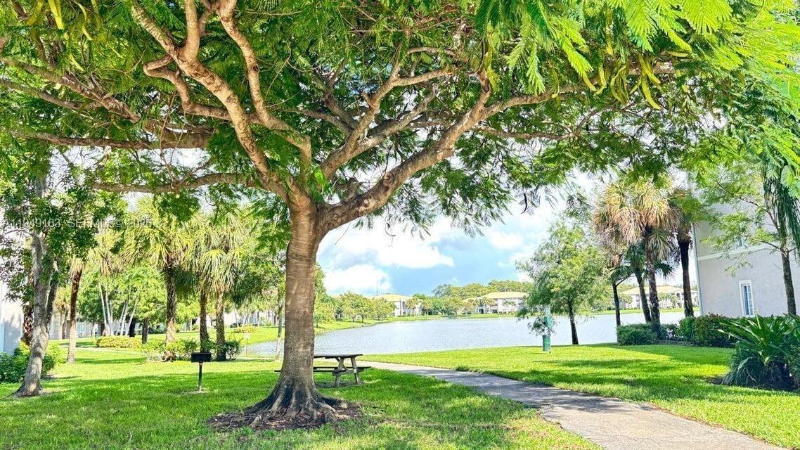 8821 Wiles Road, Unit 101 Coral Springs, FL 33067 - Photo 15 of 16 a view of a trees with a big yard