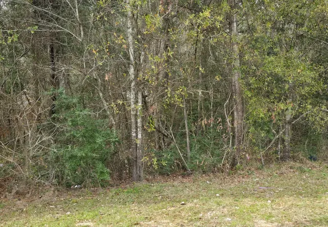 $9,000 | 10437 Ivy Street, Livingston, TX 77351