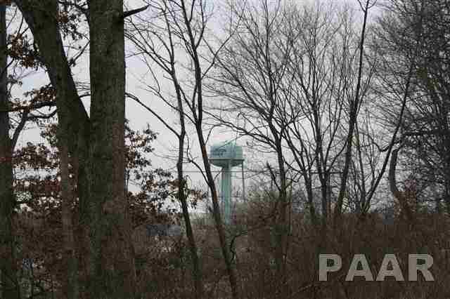 0 West Wheeler Road Canton, IL 61520 - Photo 12 of 12