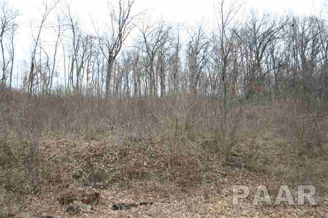 0 West Wheeler Road Canton, IL 61520 - Photo 5 of 12