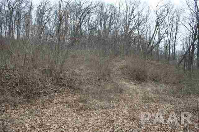 0 West Wheeler Road Canton, IL 61520 - Photo 6 of 12