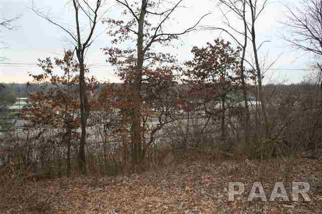 0 West Wheeler Road Canton, IL 61520 - Photo 7 of 12