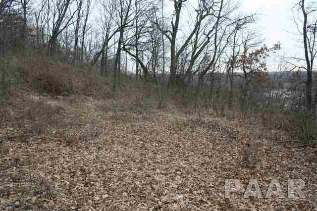 0 West Wheeler Road Canton, IL 61520 - Photo 8 of 12