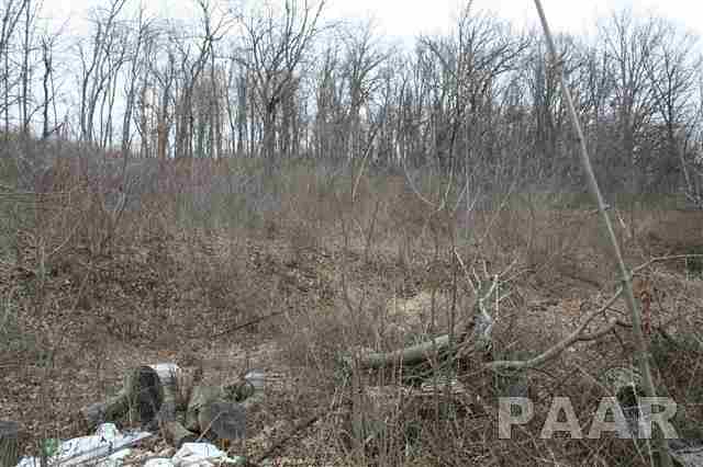 0 West Wheeler Road Canton, IL 61520 - Photo 10 of 12