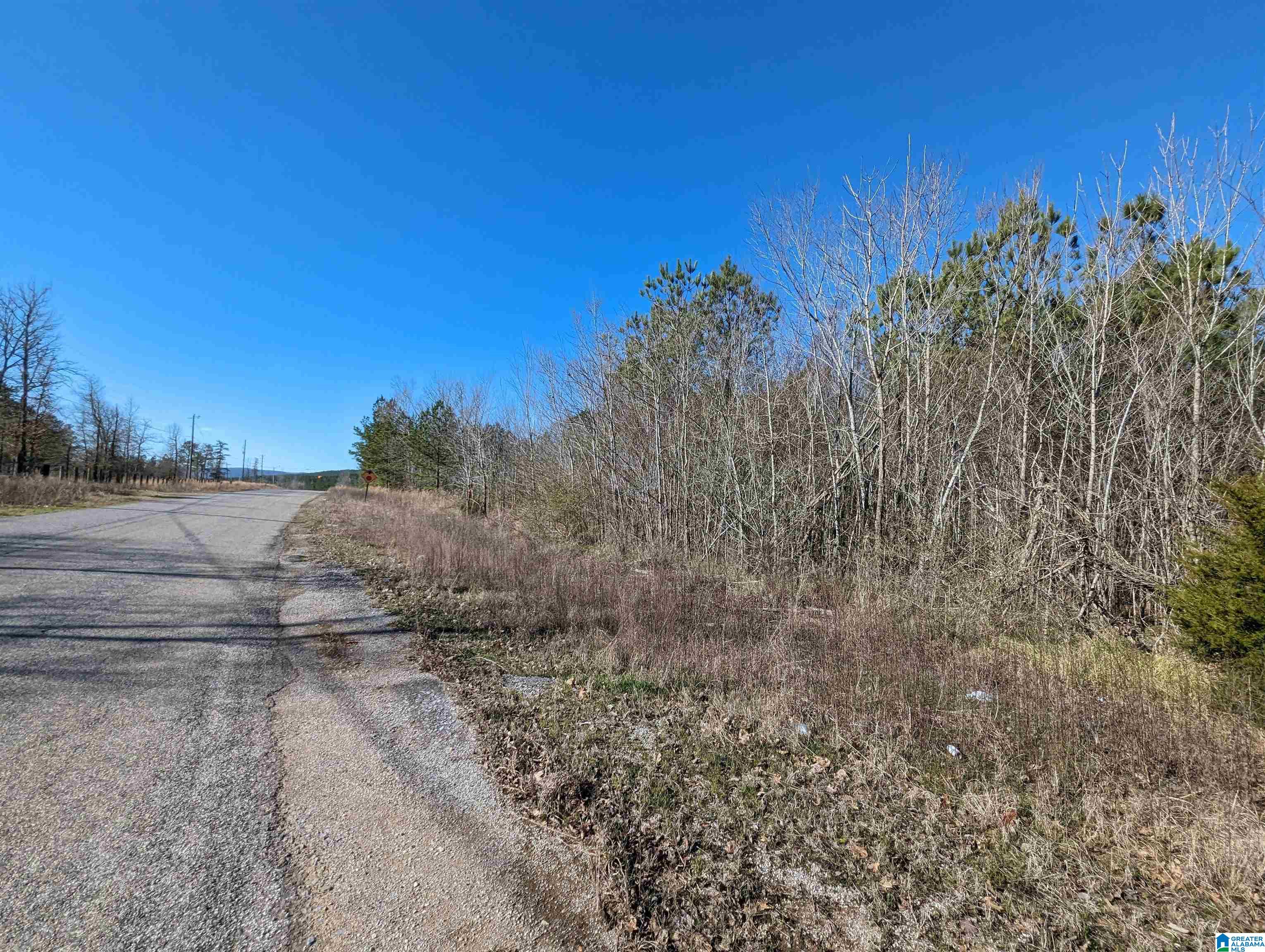 0 Chandler Springs Road Talladega, AL 35160 - Photo 3 of 35