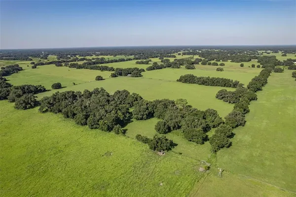 $12,000,000 | Undisclosed Address, Center Hill, FL 33514