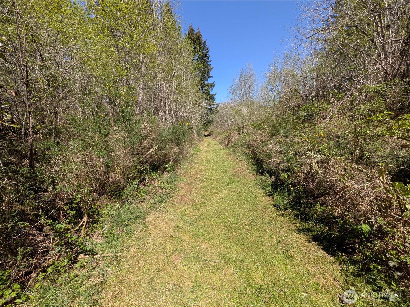 0 Cornwall Road Northwest Lakebay, WA 98349 - Photo 3 of 14