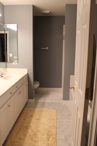 74 Trent Court, Unit 74 Burr Ridge, IL 60527 - Photo 8 of 8
