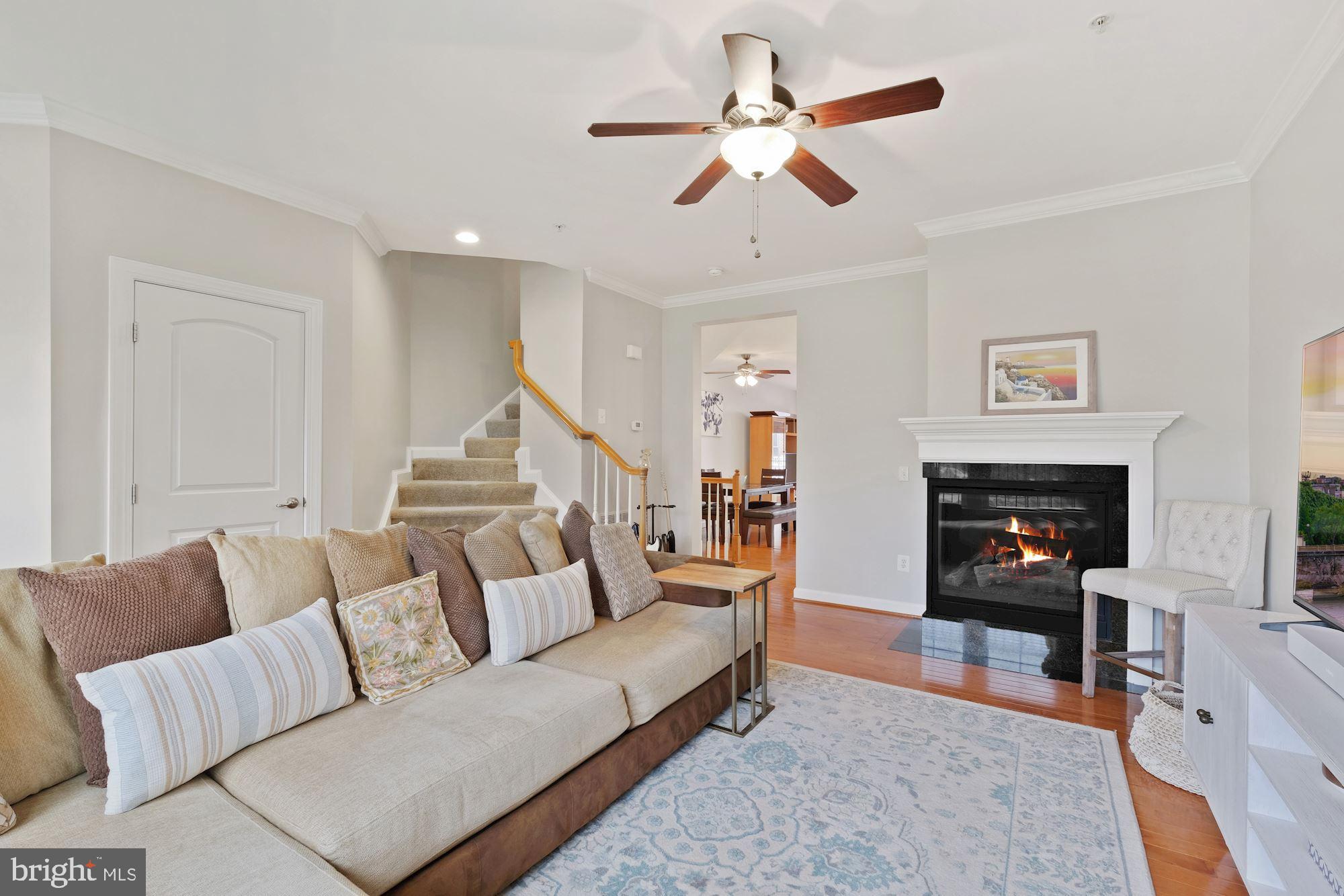 534 Rudbeckia Place Gaithersburg, MD 20878 - Photo 11 of 34 Main Level - Living Room
