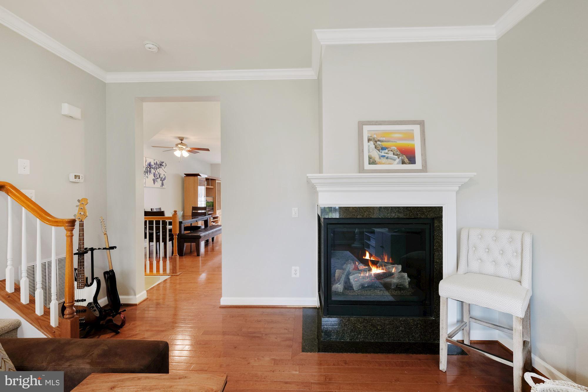 534 Rudbeckia Place Gaithersburg, MD 20878 - Photo 12 of 34 Cozy Fireplace