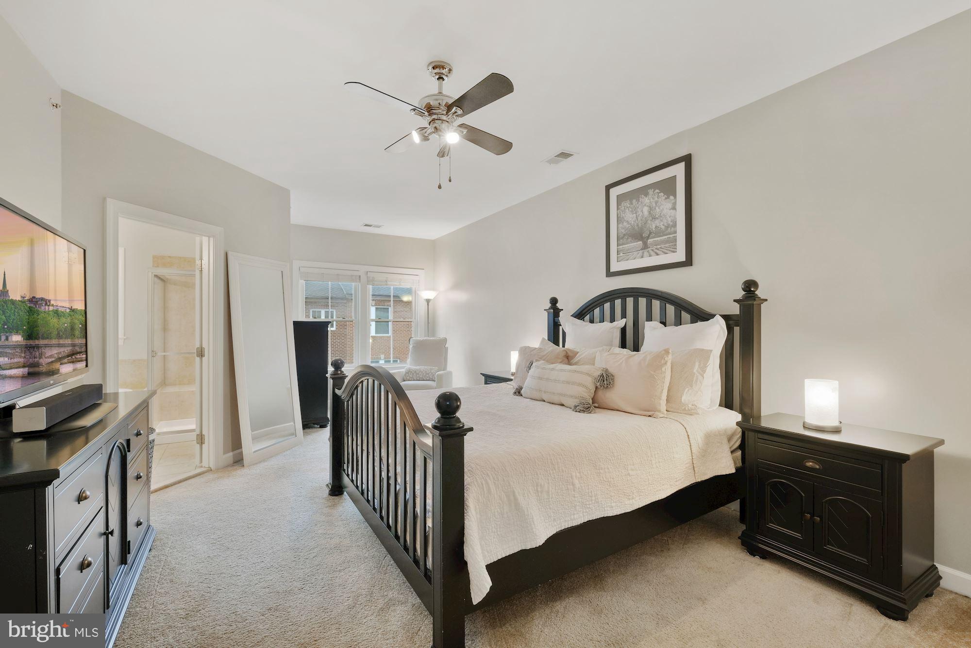 534 Rudbeckia Place Gaithersburg, MD 20878 - Photo 13 of 34 Primary Bedroom