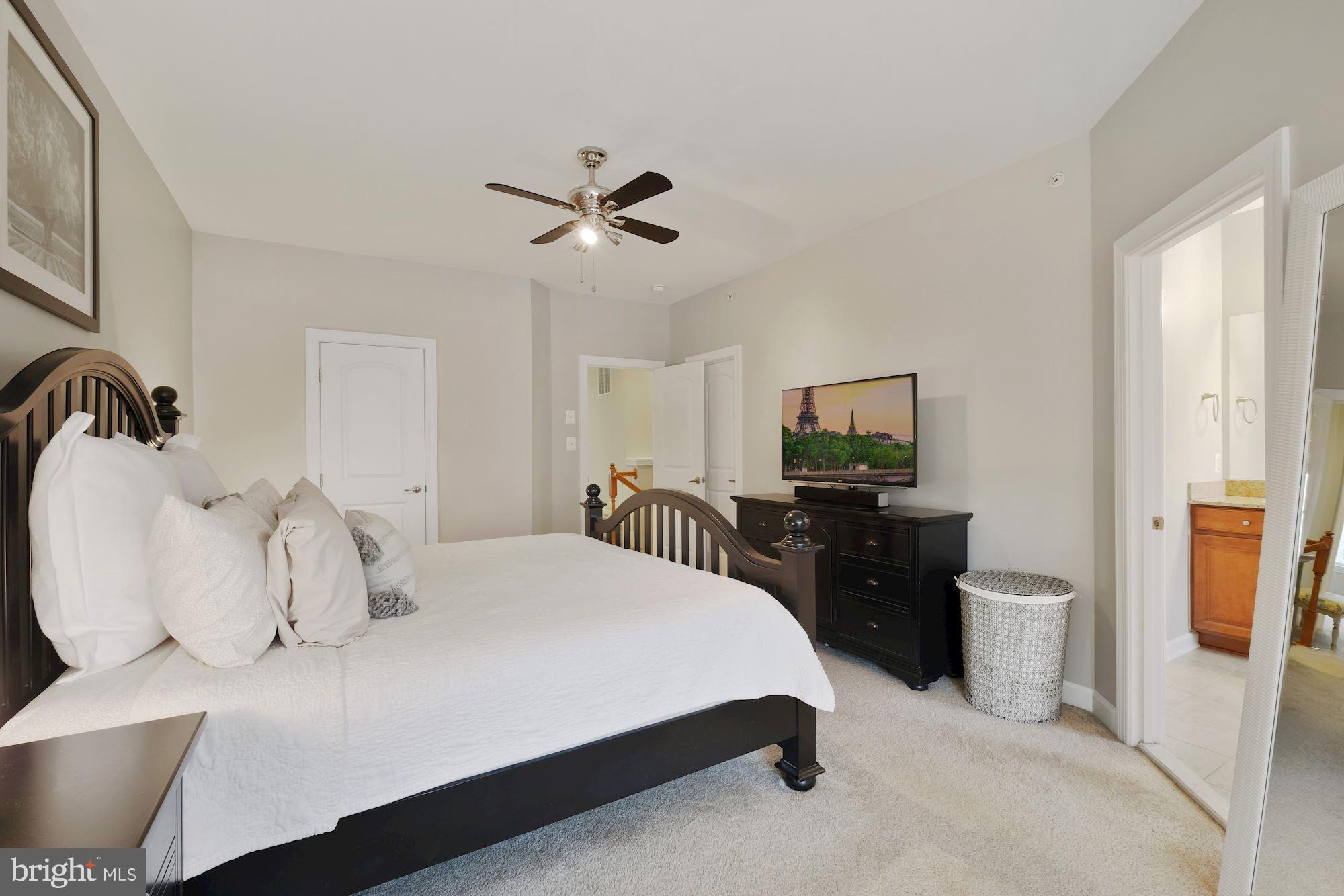 534 Rudbeckia Place Gaithersburg, MD 20878 - Photo 14 of 34 Primary Bedroom
