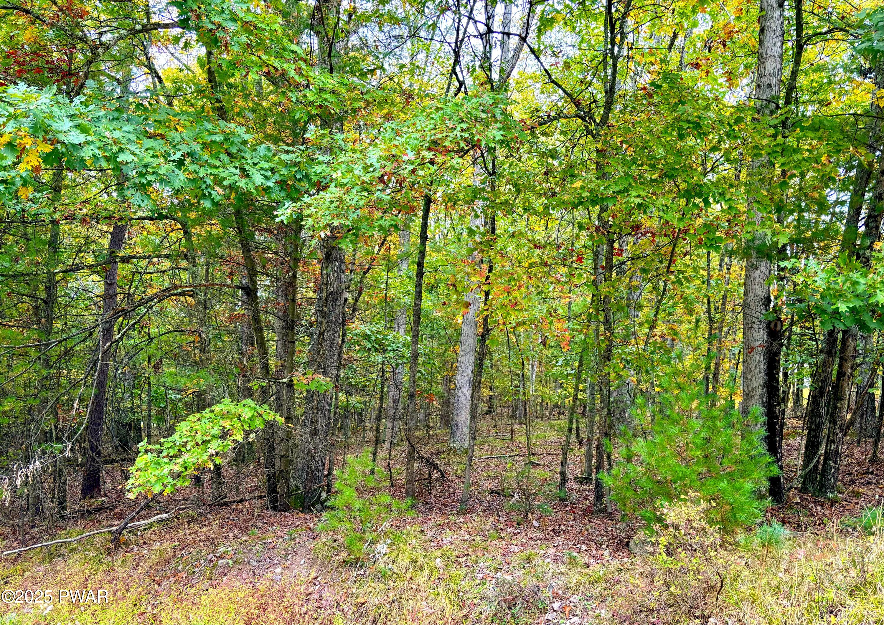352 Timber Ridge Drive Hawley, PA 18428 - Photo 2 of 14