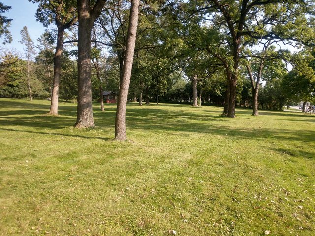 3403 York Road Oak Brook, IL 60523 - Photo 4 of 6
