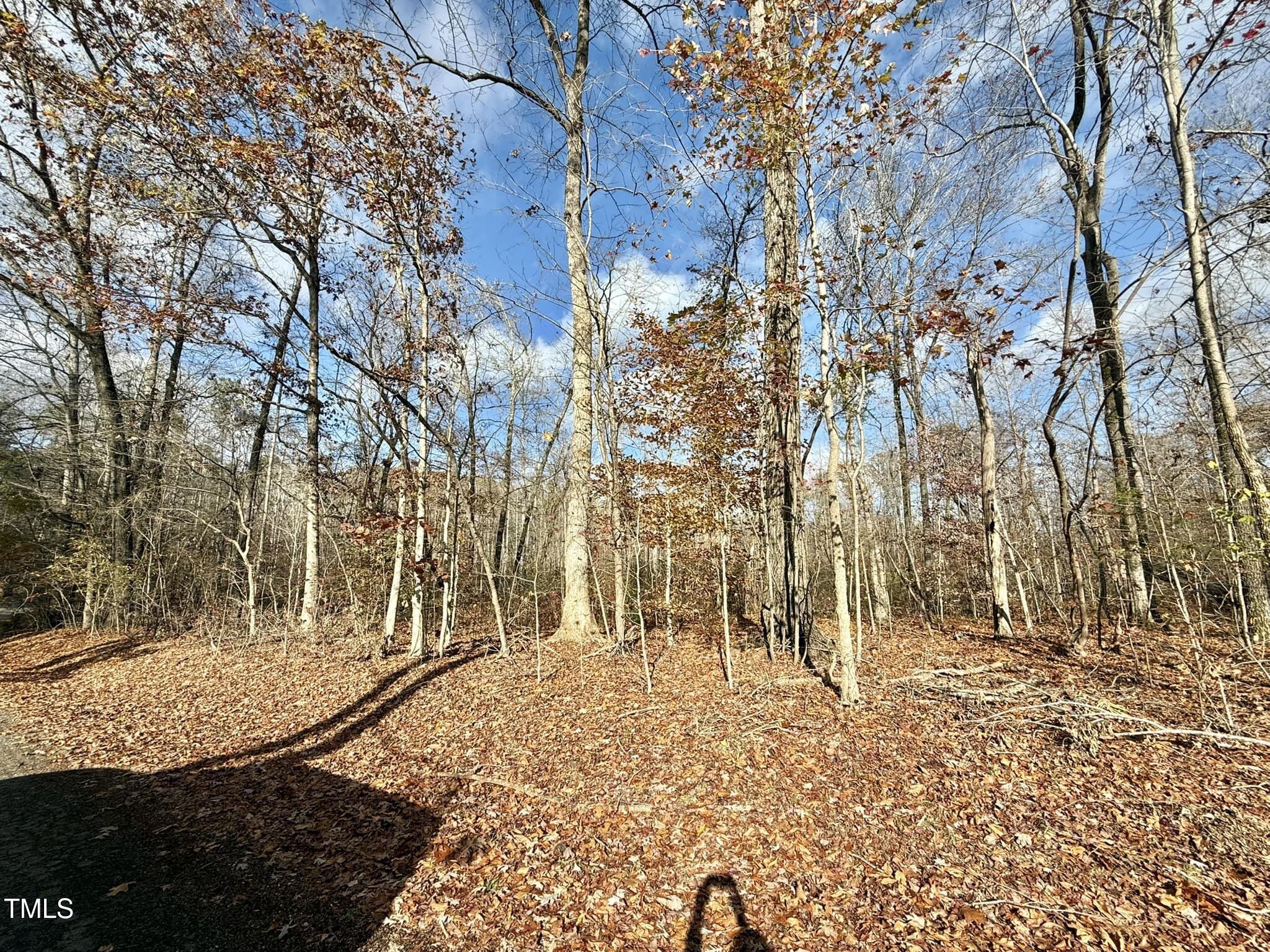22.5-acres Fishermans Point Road Roxboro, NC 27574 - Photo 4 of 6 a view of outdoor space