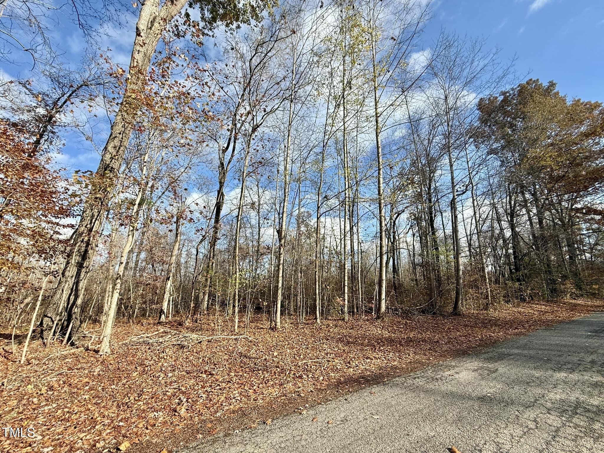 22.5-acres Fishermans Point Road Roxboro, NC 27574 - Photo 5 of 6 a backyard of a house with lots of trees