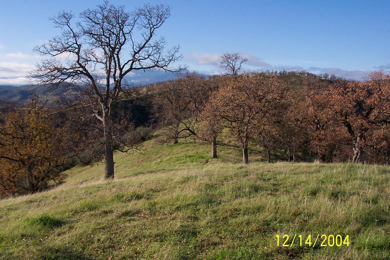 Fiddler Road Lot 252
