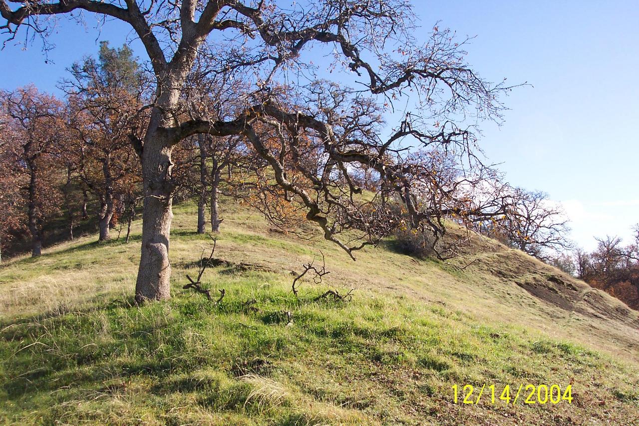 Fiddler Road Lot 252