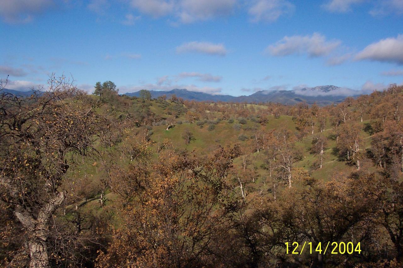 Fiddler Road Lot 252