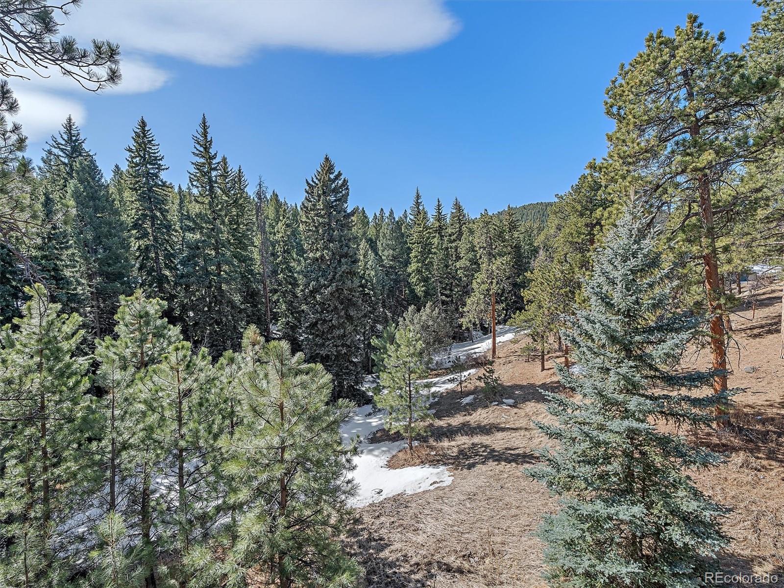 30858 Niakwa Road Evergreen, CO 80439 - Photo 23 of 43 Gallery Image 23