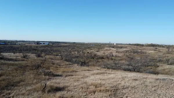 a view of a dry yard with trees
