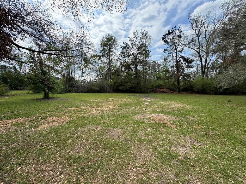 6344 Highway 4 Ringgold, LA 71068 - Photo 4 of 23