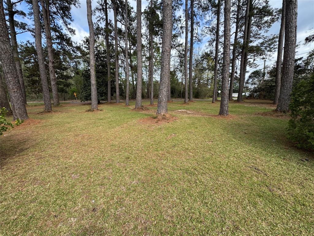 6344 Highway 4 Ringgold, LA 71068 - Photo 5 of 23 a backyard of a house with lots of green space