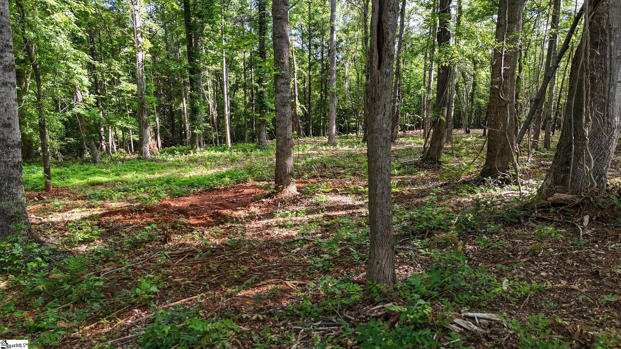 7 Guest Circle Anderson, SC 29621 - Photo 5 of 20