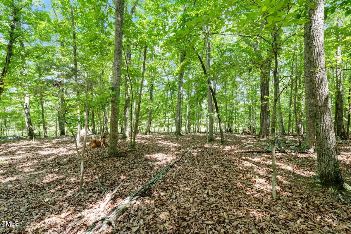 2853 Franklin Road Hillsborough, NC 27278 - Photo 4 of 18 a backyard of a house with lots of green space