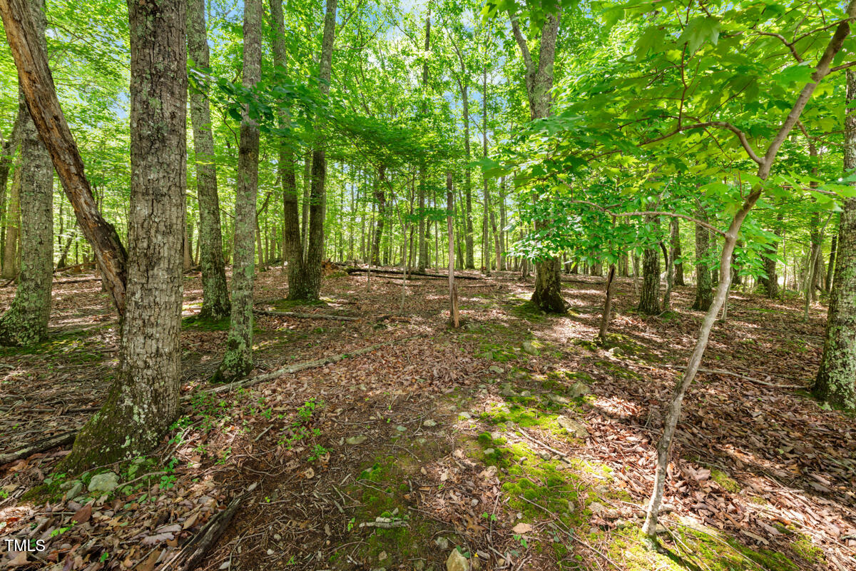 2853 Franklin Road Hillsborough, NC 27278 - Photo 7 of 18 a backyard of a house with lots of green space