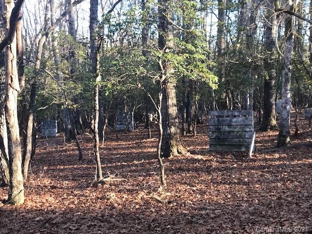 0 Gilreath Loop Road Mills River, NC 28759 - Photo 1 of 1 Gallery Image 1