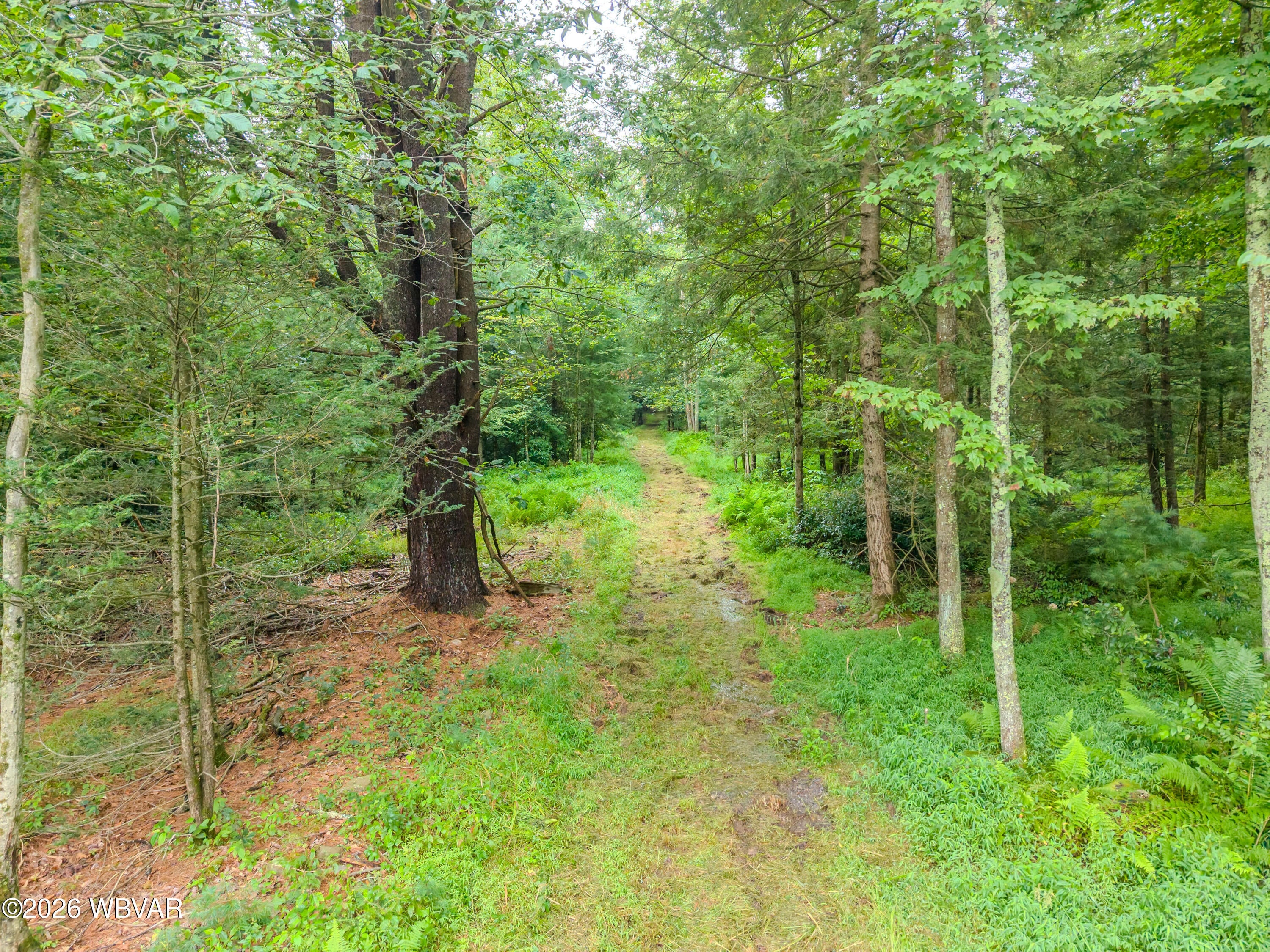 7606 Rose Valley Road, Unit PARCEL 2 Trout Run, PA 17771 - Photo 5 of 5 Gallery Image 5