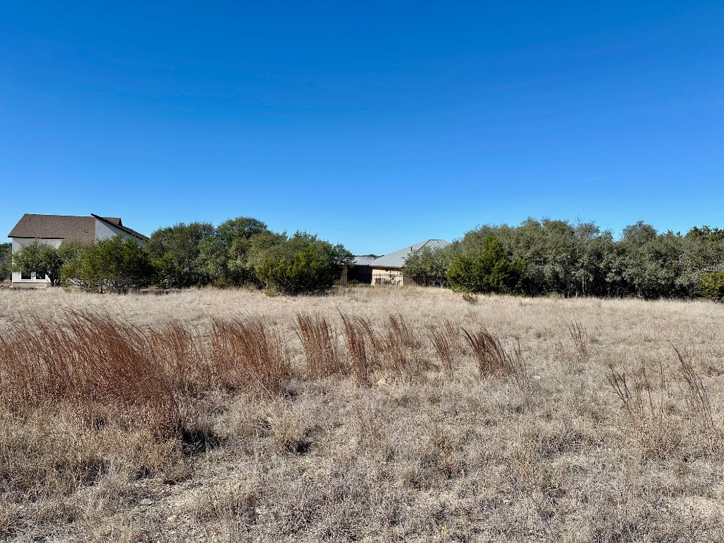 107 Jesse Stiff Blanco, TX 78606 - Photo 4 of 16 a view of a backyard of the house