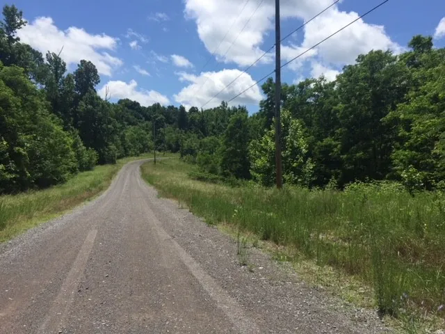 a view of a field with a tree