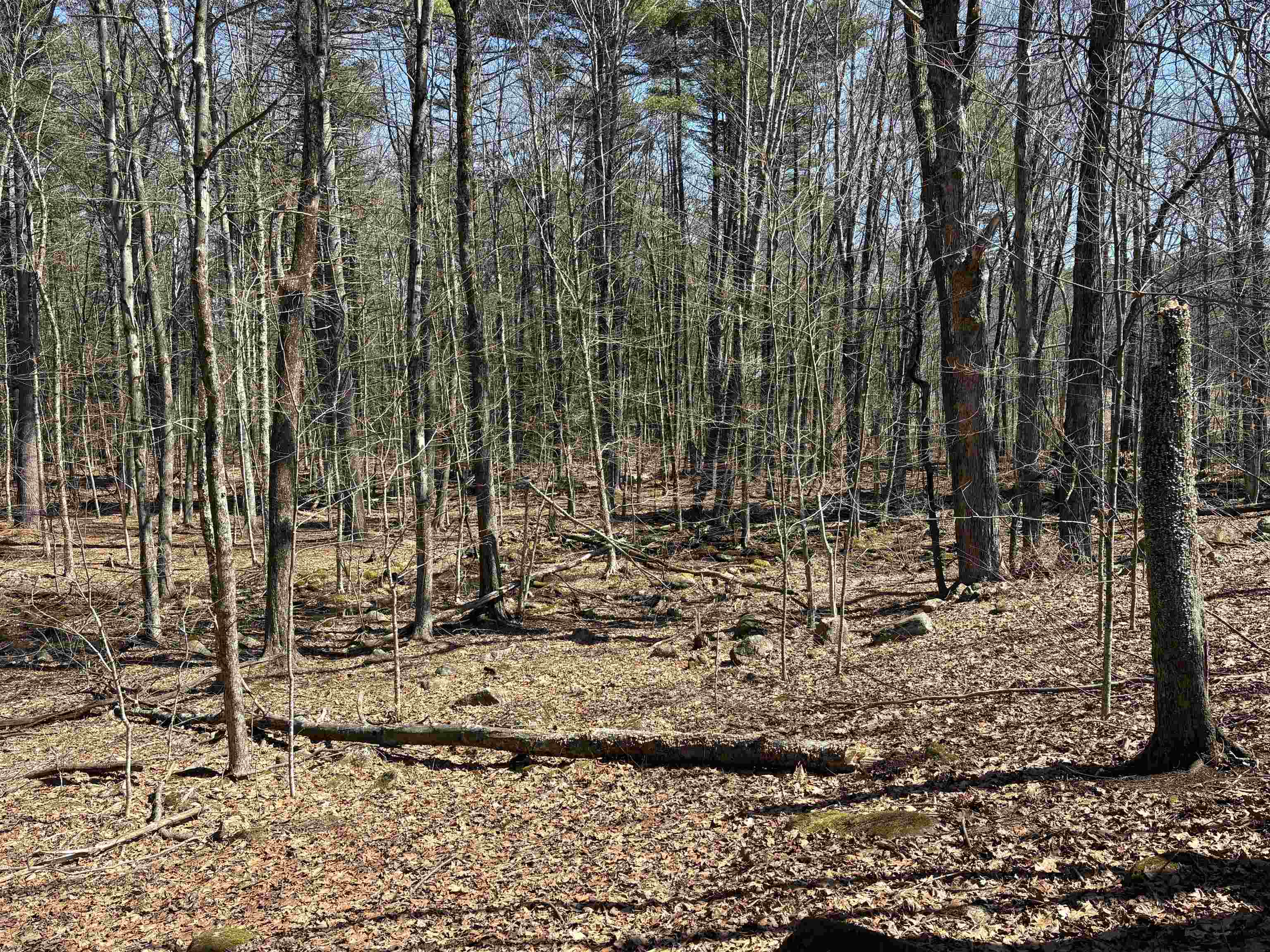 79-1 Currier Road Candia, NH 03034 - Photo 12 of 33