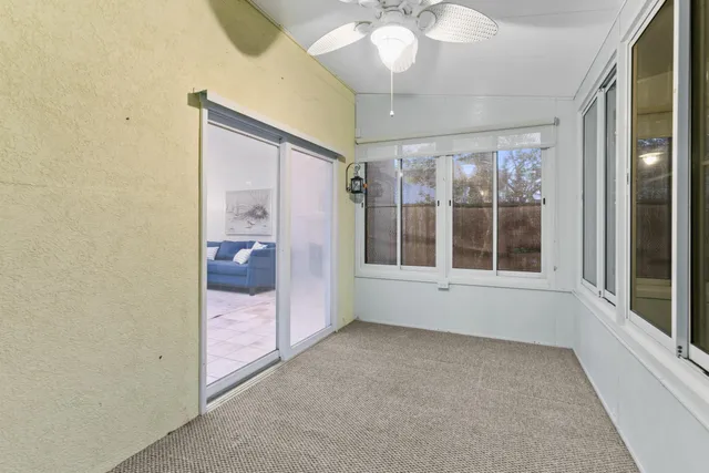 a view of a garden with plants