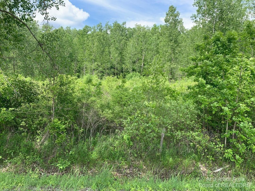 0 Calhoun Road Milan, MI 48160 - Photo 1 of 3 Photo 1