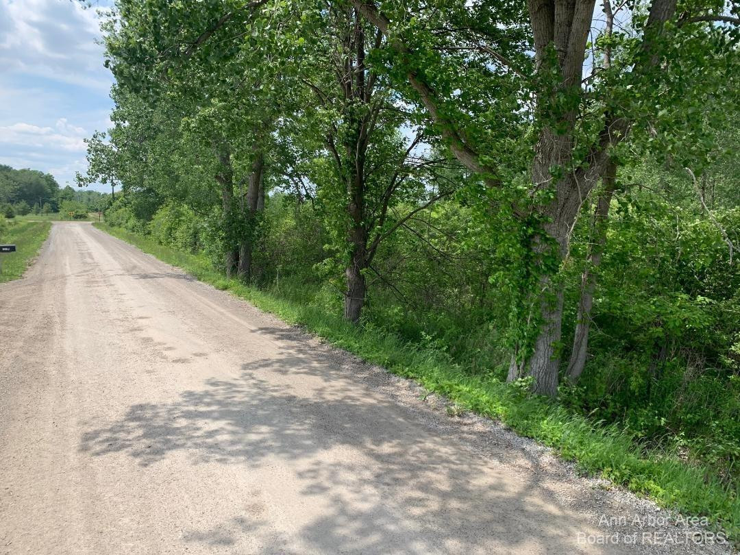 0 Calhoun Road Milan, MI 48160 - Photo 2 of 3 Photo 2